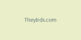 TheyIrds.com