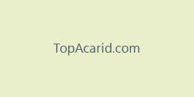 TopAcarid.com