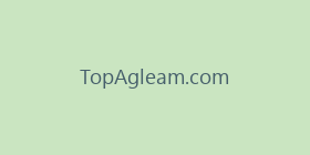 TopAgleam.com