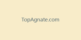 TopAgnate.com