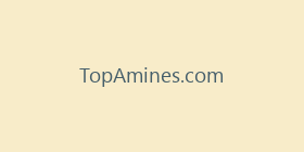 TopAmines.com