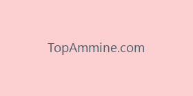 TopAmmine.com