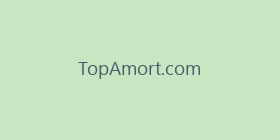 TopAmort.com