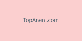 TopAnent.com