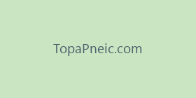 TopaPneic.com