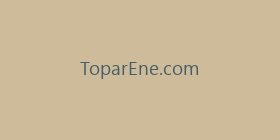 ToparEne.com