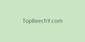 TopBeechY.com