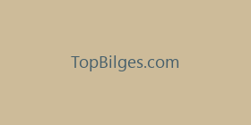 TopBilges.com