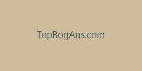TopBogAns.com