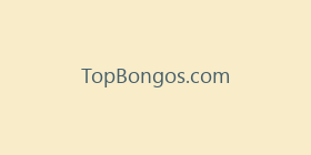 TopBongos.com