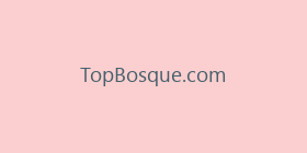 TopBosque.com