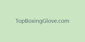 TopBoxingGlove.com
