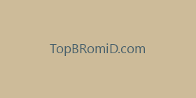 TopBRomiD.com