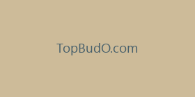 TopBudO.com