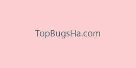 TopBugsHa.com