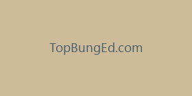 TopBungEd.com