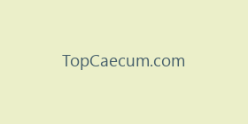 TopCaecum.com