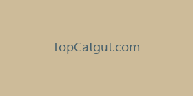 TopCatgut.com