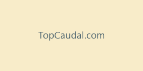 TopCaudal.com