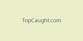 TopCaught.com