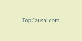 TopCausal.com