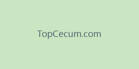 TopCecum.com