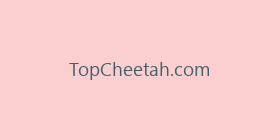 TopCheetah.com