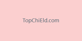 TopChiEld.com