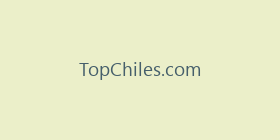 TopChiles.com