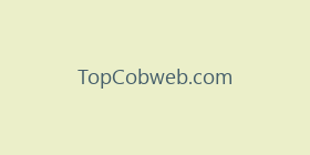 TopCobweb.com