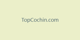 TopCochin.com