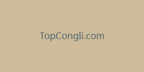 TopCongIi.com
