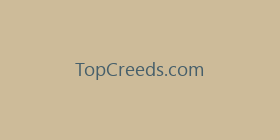 TopCreeds.com
