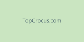 TopCrocus.com