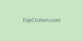 TopCroton.com