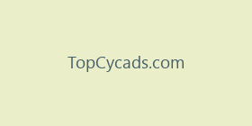 TopCycads.com