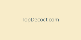 TopDecoct.com
