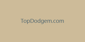 TopDodgem.com
