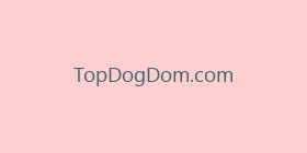 TopDogDom.com