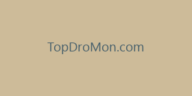 TopDroMon.com