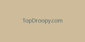 TopDroopy.com