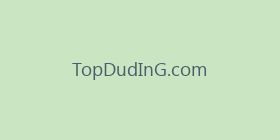 TopDudInG.com