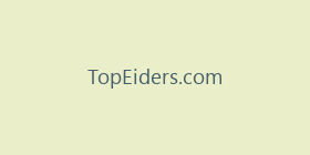 TopEiders.com