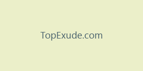 TopExude.com