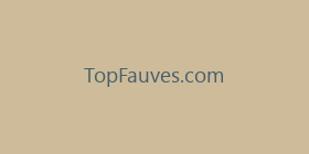 TopFauves.com