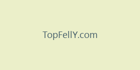 TopFellY.com