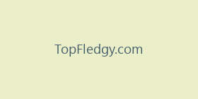 TopFledgy.com