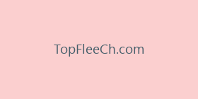TopFleeCh.com