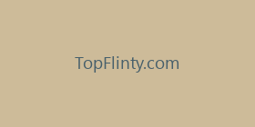 TopFlinty.com