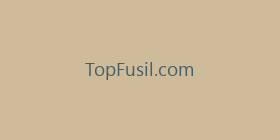 TopFusil.com